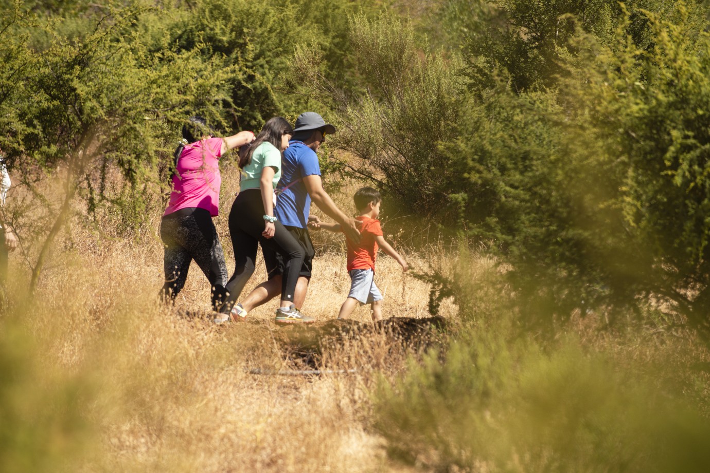 trekking